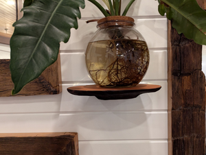 Open image in slideshow, Lichen Shelf - Unique Wooden Decor
